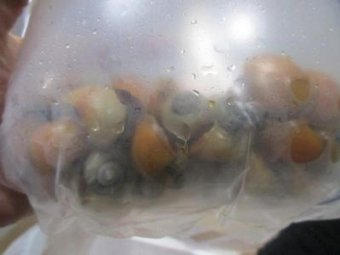 Фото пресс-службы Роспотребнадзора. 