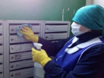 Фото пресс-службы администрации Архангельска. Фото пресс-службы администрации Архангельска.